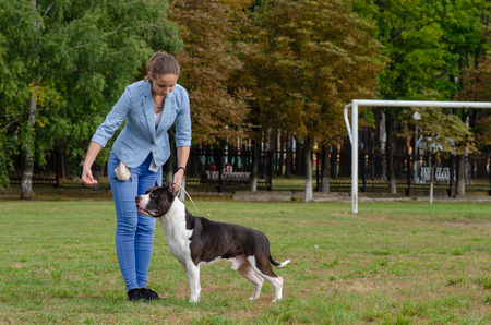 Homel / Belarus - 09.16.2018: People and dogs in the parkのeditorial素材