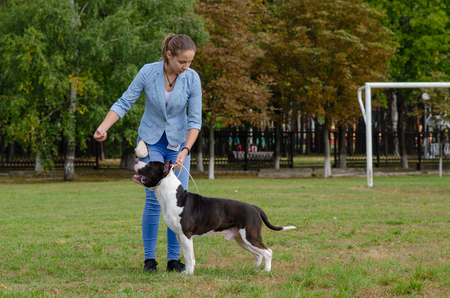Homel / Belarus - 09.16.2018: People and dogs in the parkのeditorial素材