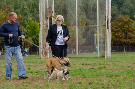 Homel / Belarus - 09.16.2018: People and dogs in the parkのeditorial素材