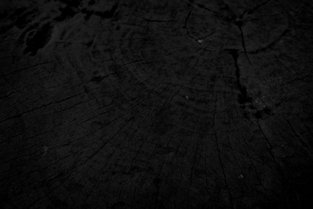 wood background texture design, black and white monochrome backgroundの写真素材