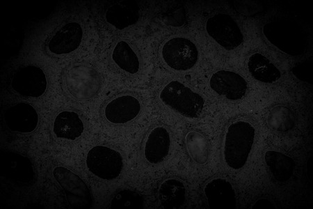 stone surface black backgroundの写真素材