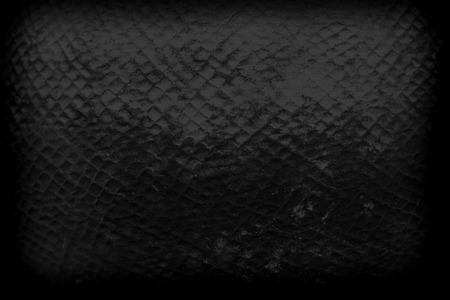 abstract black background, old black vignette border frame white gray background.の写真素材
