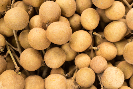 Longan, Dimocarpus longan, fruit from Asia.の写真素材
