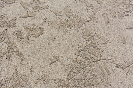Sand on the beach as backgroundの写真素材
