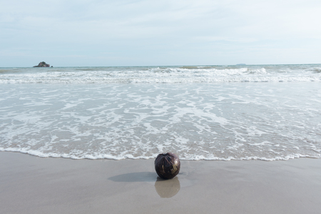 Beach and sea coconut  and blue sky backgroundの写真素材