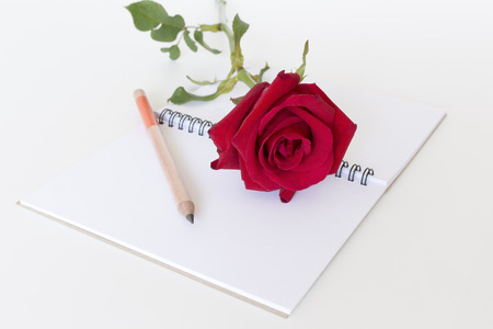 red rose pencil and notebook  on white background.の写真素材