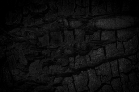 wooden texture on black background.の写真素材