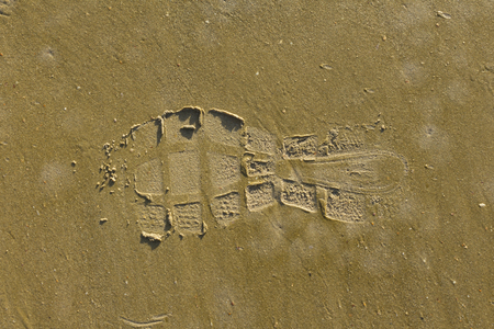 footprints in the sand.texture of sand.の写真素材