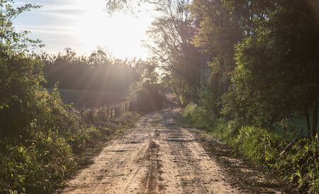 A dirt road cutting in the late afternoon. Rural landscape. Paths and roads in the interior of southern Brazil. Dirt and stone roads in farm and agricultural areasの写真素材
