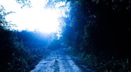 A dirt road cutting in the late afternoon. Rural landscape. Paths and roads in the interior of southern Brazil. Dirt and stone roads in farm and agricultural areasの写真素材