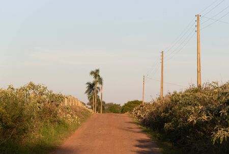 A dirt road cutting in the late afternoon. Rural landscape. Paths and roads in the interior of southern Brazil. Dirt and stone roads in farm and agricultural areasの写真素材