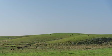 Images from the interior of the city of Jaguari, RS, Brazil. Rural landscapes of the city located in the southern central region, almost border with Argentina.の写真素材
