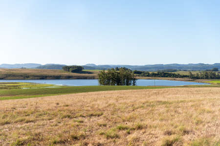 Fazends area in southern Brazil. Rural landscape in the pampa biome, where grain is produced for human consumption and agricultural exploitation occurs. Interior of SÃ£o Pedro do Sul, locality of ChiniquÃ¡.の写真素材