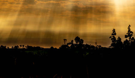 Silhouette of Sunset and late afternoon in southern Brazil, fronted with Uruguay. Rural landscape at the end of the afternoon. Colors and silhouettes. Nature's spectacle at the end of the day, colors and lightsの写真素材