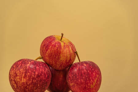 A pile of apples. The apple is the pseudo-fruit of the apple tree (Malus domestica), a tree in the Rosaceae family. It is one of the most cultivated and used tree pseudofruits by humans.の写真素材