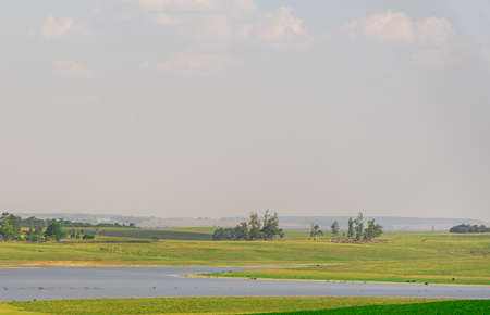 Soy plantation and cattle raising. Freshwater dam. Agricultural production property in Brazil. Farmer and livestock. management of rural activity. Irrigation and drainage.の写真素材