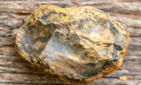 Natural mineral from ancient fossilized wood. Fossilized stone collected in the city of Santa Maria,...