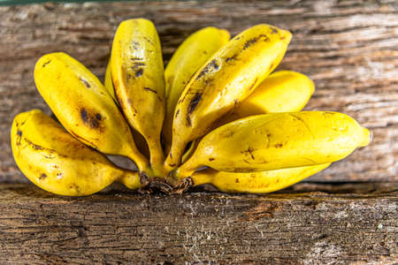 Bunch of bananas. Banana, pacoba or pacova is a pseudobaga of the banana tree, a perennial herbaceous plant from the Musaceae family. They are grown in 130 countries and originate in Southeast Asia.の写真素材