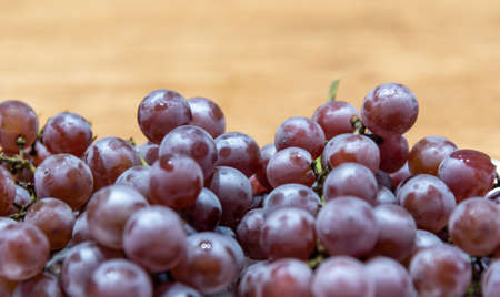 Vine bunches with grape fruits. The grapevine, vine or vine is a vine of the vitaceae family, grown...