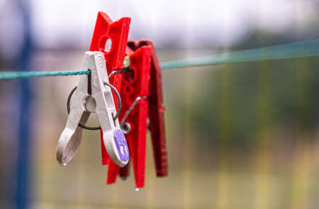 Clothespins. Laundry accessories. Household items. The clothespin is an instrument usually used to better fix clothes on the clothesline.の写真素材