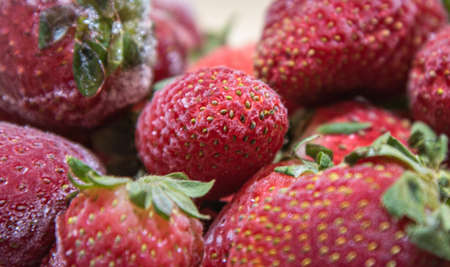 Frozen strawberries in close-up (Fragaria spp). frozen strawberries background. Fresh fruits covered with ice. Fruits arranged on a light background.の写真素材