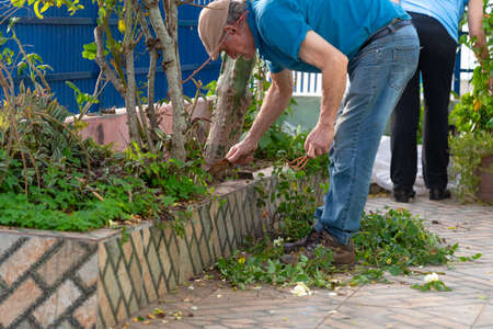 Elderly man in the garden. Home gardening. Best age. Golden age. Homemade activities. Taking care of...