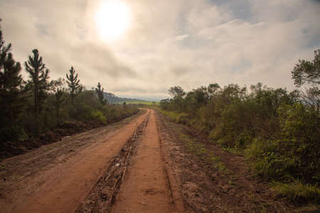 Dirt road. Authentic rural landscape of the Pampa biome. Empty road. Countryside and farms landscape. Nature trip. Dawn in southern South America.の写真素材