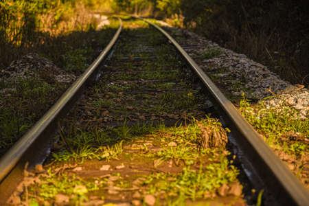 Train tracks disabled. Stretches of the disabled railway. Paths to the infinite. feeling of freedom. Feeling of adventure. Ancient railway.の写真素材