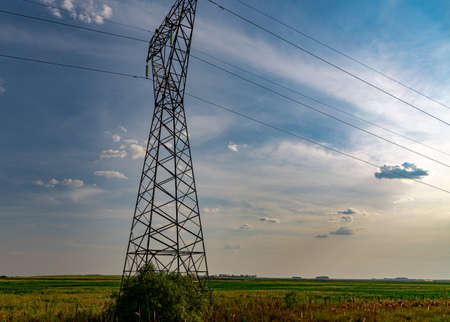 Electricity towers. electricity transmission lines. Energy infrastructure in Brazil. Towers in soybean production fields. Brazilian energy sector.の写真素材