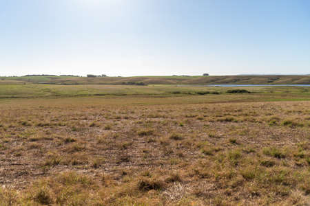 Fazends area in southern Brazil. Rural landscape in the pampa biome, where grain is produced for human consumption and agricultural exploitation occurs. Interior of SÃ£o Pedro do Sul, locality of ChiniquÃ¡.の写真素材