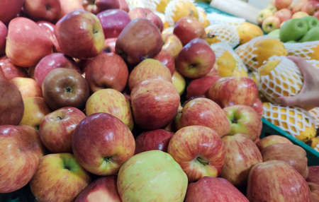 The apple is a fruit that can be surprisingly beneficial to the human body. Born from the tree known as apple tree, it is typical of temperate climate environments.の写真素材