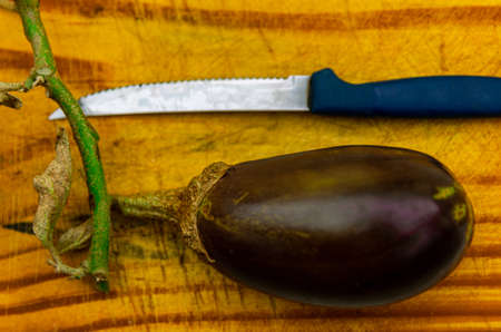 Fruit of the plant Solanum melongena, an annual shrubby solanaceae, originally from India, considered easy to grow in the tropics, and which belongs to the same family as peppers.の写真素材