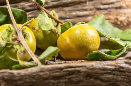 Fresh fruits. Chocolate persimmons on an aged wooden background. Tropical fruits. Human food. Fruit for consumption and juice production.の写真素材