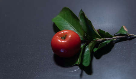 Fresh fruits of acerola.The acerola, when ripe, has a color variation ranging from orange to wine. This coloration is the result of the presence of anthocyanins, especially pelargonidin and malvidinの写真素材