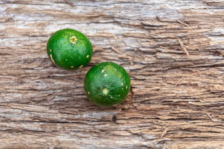 Citrus reticulata in natura. Fruit similar to orange, half bitter and very aromatic. This fruit is...
