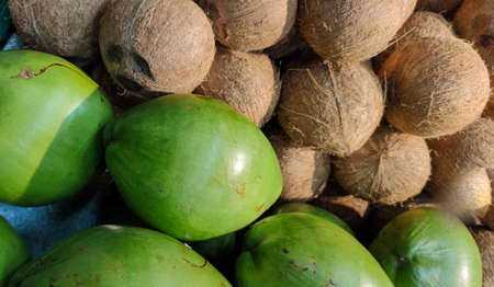 Fresh coconut fruits. The coconut tree (Cocos nucifera), is a member of the Arecaceae family....