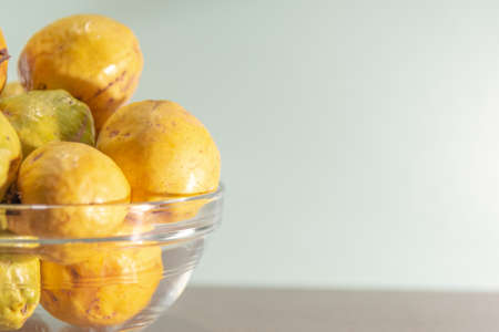 Fresh fruits of guava (Psidium guajava L.). it is one of the richest fruits in nutrients, being also...