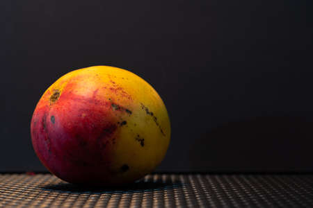 Pink mango fruits. Mango on dark background. Tropical and tasty fruit. Fiber rich food. Mango is the fruit of the mango tree (Mangifera indica L.), a fruit tree in the Anacardiaceae family.の写真素材