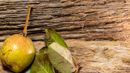 Fresh fruits of pear (Pyrus communis L. Pear is the edible fruit of the pear, a tree of the genus Pyrus L., family Rosaceae, and one of the most important fruits of temperate regions.の写真素材