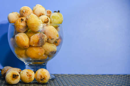 Frozen loquats (Eriobotrya japonica). Fruits served in a glass bowl. The loquat (Eriobotrya japonica) is a plant species of the subfamily Maloideae, in the Rosaceae family.の写真素材