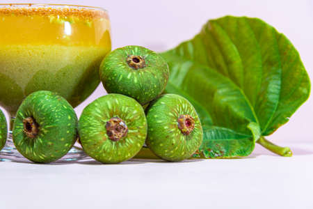 Garden Fig (Ficus auriculata). Red Fig TreeExotic plant from Malaysia. Exotic drink. Originating from forests in Southeast Asia, it is a decorative tree, from perennial to semi-deciduous foliage.の写真素材