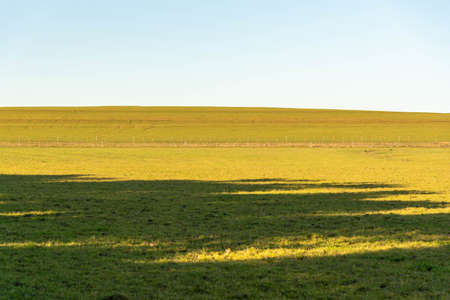 Farm fields in southern Brazil. cattle breeding area. Pasture fields. Small cattle ranching property. Rural landscape.の写真素材