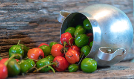 Goat pepper (Capsicum chinense). Pimenta de Cheiro: This is one of the two main peppers used in Brazilian cuisine. : It is the berry of a vine, considered the queen of spices.の写真素材