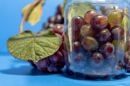 Bunches of table grapes. Fruits for fresh consumption. Grapes for wine making. Blue and defocused background. Fruits with large berries with a raspberry and sweet flavor in a jar.の写真素材