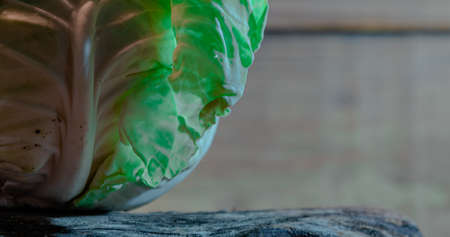 Cabbagehead. Fresh cabbage (Brassica oleracea var. Capitata). Fruits and vegetables in their natural state. Food consumed in salads. Culinary delicacy. Vegetables.の写真素材
