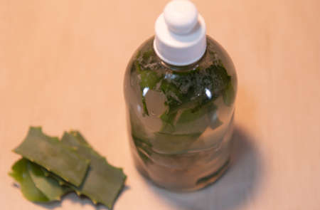 Infusion of Aloe Vera. Aloe vera is a plant known for its medicinal and cosmetic properties, which are used to treat various types of diseases and also take care of the beauty of the skin and hair.の写真素材
