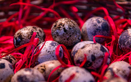 Quail eggs. The Benefits of Quail Egg are great for general health. It is an excellent source of protein, low in saturated fats and rich in a variety of vitamins and mineralsの写真素材