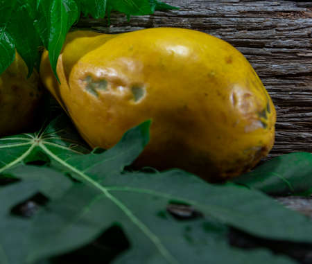 Papaya fruits papaya. Papaya is a tasty and healthy fruit, rich in fiber and nutrients such as...