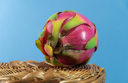 Pitaya fruits. Dragon fruit. Blue background. Pitaya is a natural fruit from Mexico and Central America, but it is also grown in other places like Brazil and China.の写真素材