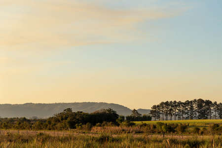 Rural landscape. Farm areas in southern Brazil. fields of the biome pampa. Agricultural exploitation...